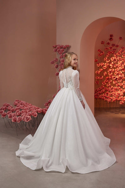 Petra Classic Gown in Glitter tulle with Long sleeves