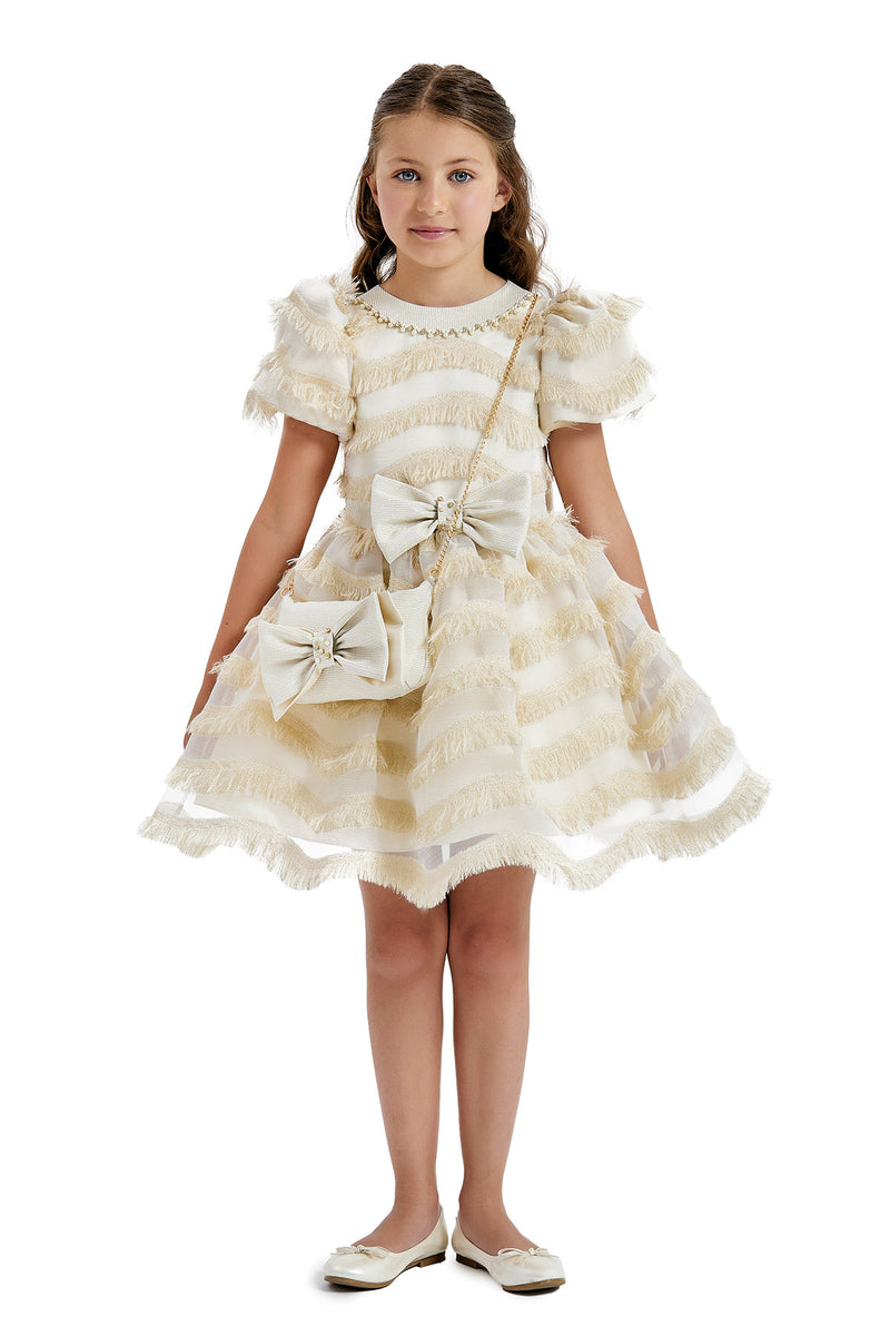 Girls Party Dress with a Chain Handbag in Sizes 4T-8