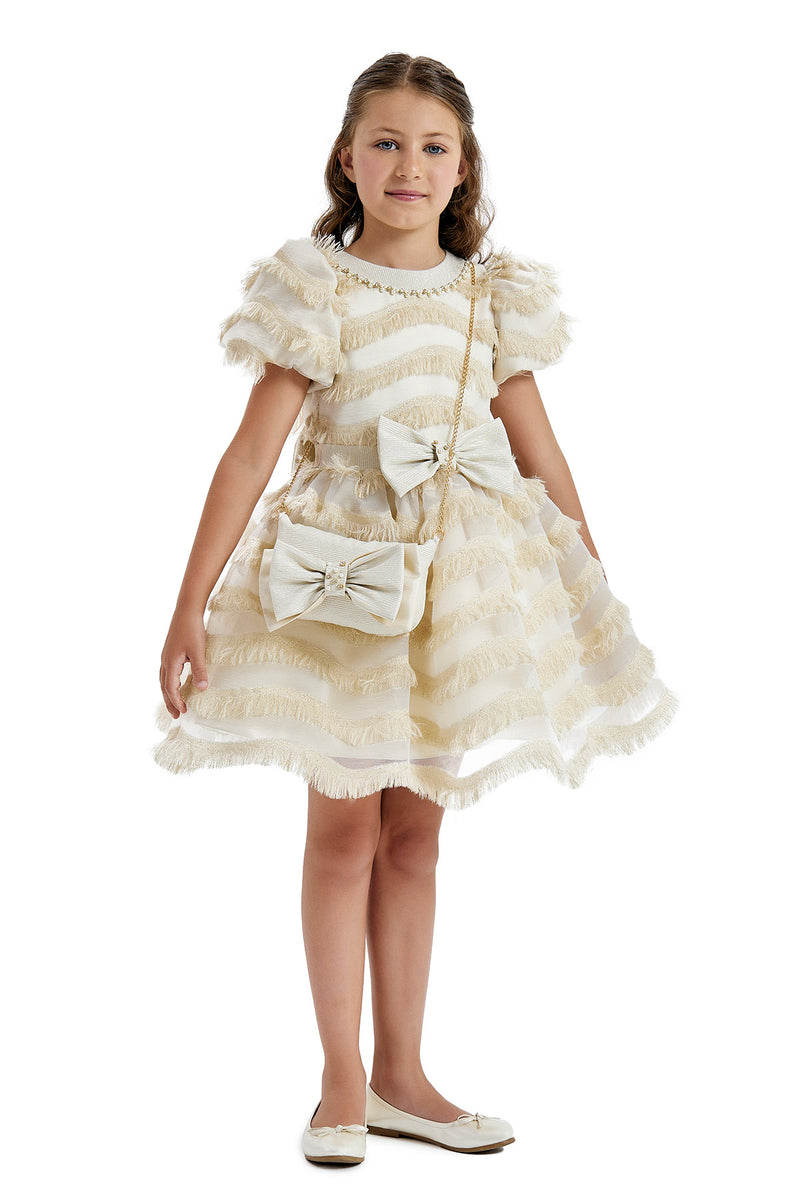 Girls Party Dress with a Chain Handbag in Sizes 4T-8