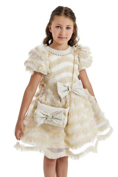 Girls Party Dress with a Chain Handbag in Sizes 4T-8
