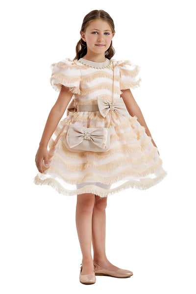 Girls Party Dress with a Chain Handbag in Sizes 4T-8