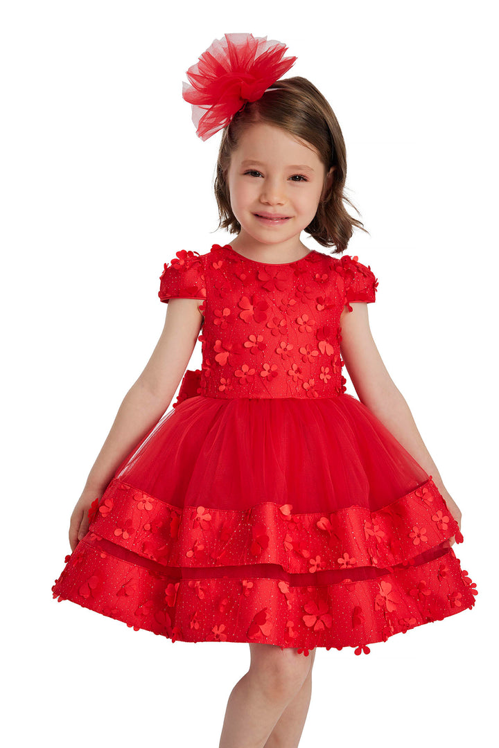 Red Special Occasion Dress for a Baby Girl