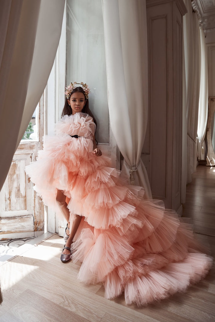 Buy Girls Ruffled High Low Dress | Elegant Layers for Special Occasions Pre-order Size 9-10 / Pink Buy Girls Ruffled High Low Dress | Elegant Layers for Special Occasions Pre-order Size 9-10 / Pink