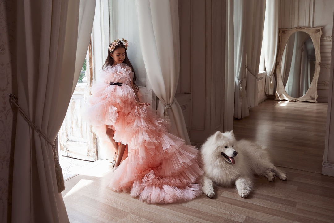 Buy Girls Ruffled High Low Dress | Elegant Layers for Special Occasions Pre-order Size 9-10 / Pink Buy Girls Ruffled High Low Dress | Elegant Layers for Special Occasions Pre-order Size 9-10 / Pink