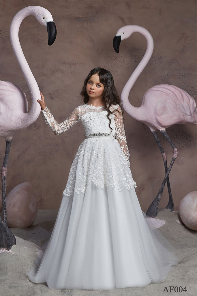 Long Sleeve Tulle and Lace Dress